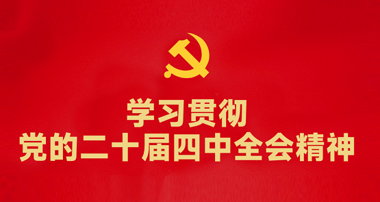 学习贯彻党的二十届四中全会精神